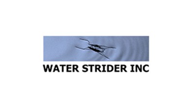 Water Strider